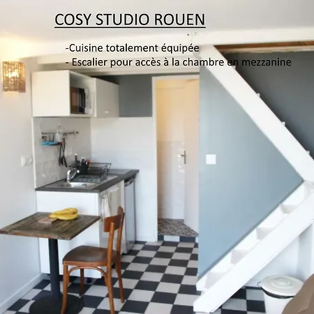 Eco Studios Mezzanine Wifi Piscine Stationnement Gratuit Terrasse Dans Jardin Rouen Exterior photo