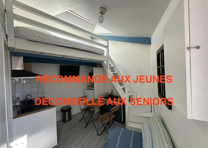 Eco Studios Mezzanine Wifi Piscine Stationnement Gratuit Terrasse Dans Jardin