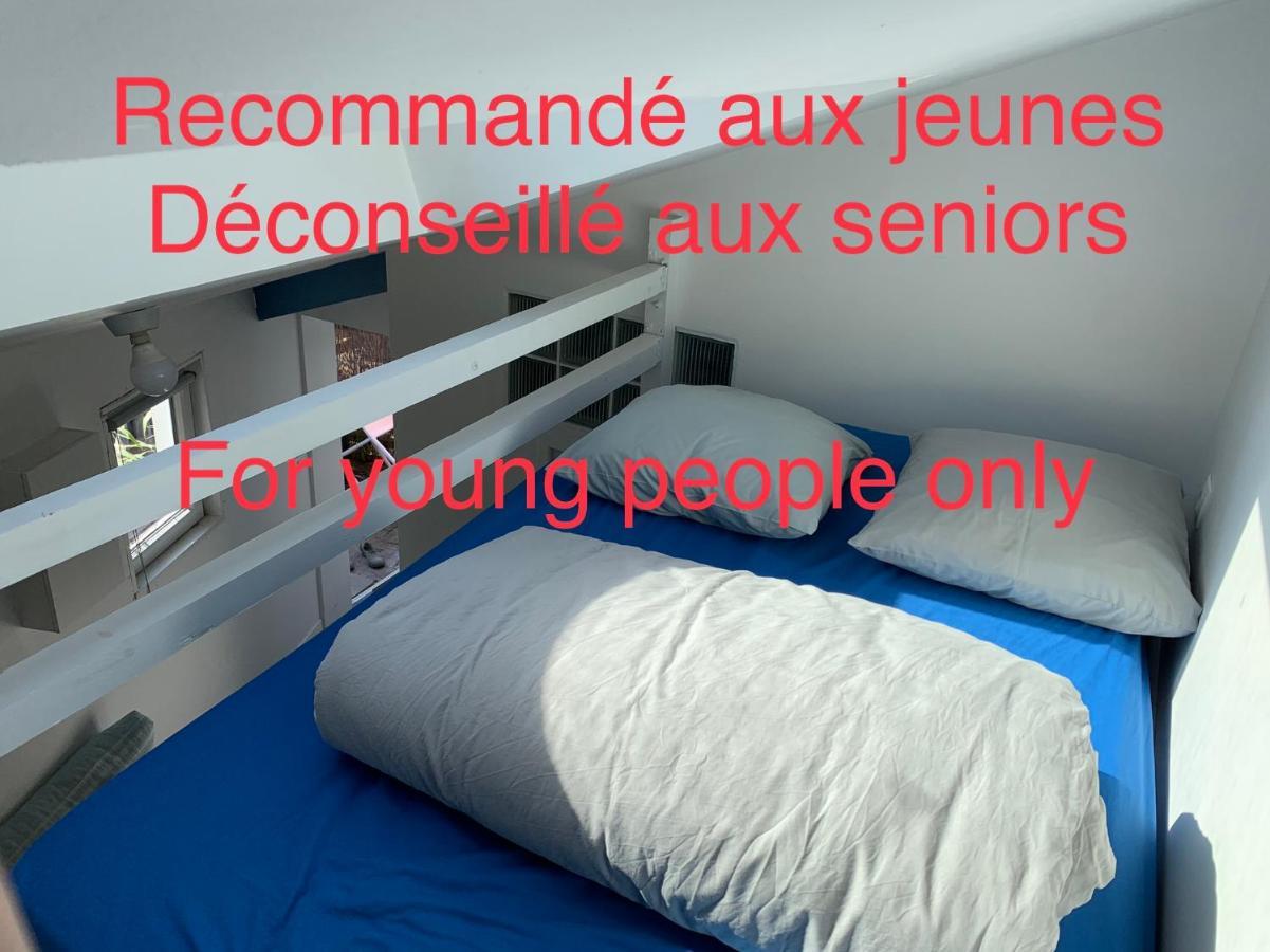 Eco Mezzanine Wifi Piscine Stationnement Gratuit Terrasse Dans Jardin Rouen